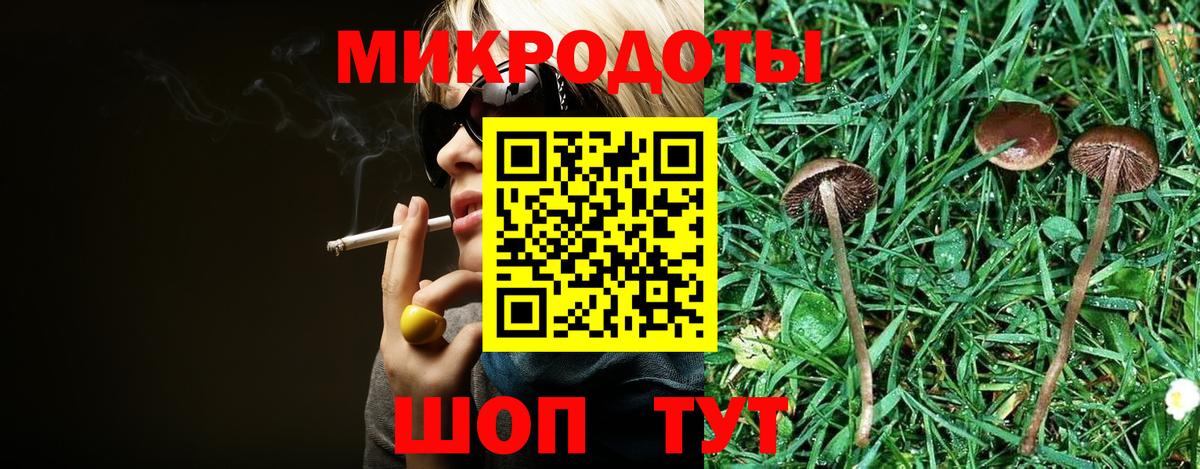 Псилоцибиновые грибы Cubensis Тельмана